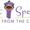 logo - Direct Speech