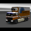 ets2 Daf 2300 6x4 BDF F - prive skin ets2