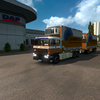 ets2 Daf 2300 6x4 BDF +aanh... - prive skin ets2