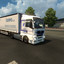 ets2 Man TGA 4x2 + 2asser (... - prive skin ets2