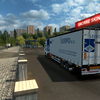 ets2 Man TGA 4x2 + 2asser (... - prive skin ets2