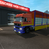 ets2 Daf 3600 6x4 + Schmitz... - prive skin ets2