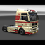 ets2 Man TGA 4x2 F - prive skin ets2