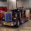 MegaTrucksFestival 2015, po... - Mega Trucks Festival 2015, den Bosch, Brabanthallen