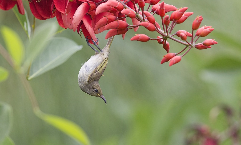 24094146885 dbf77f29bb o - 