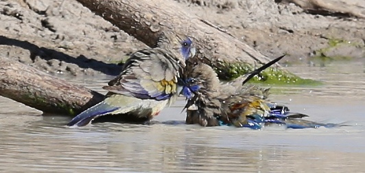 23844062610 cfaf841388 z - 