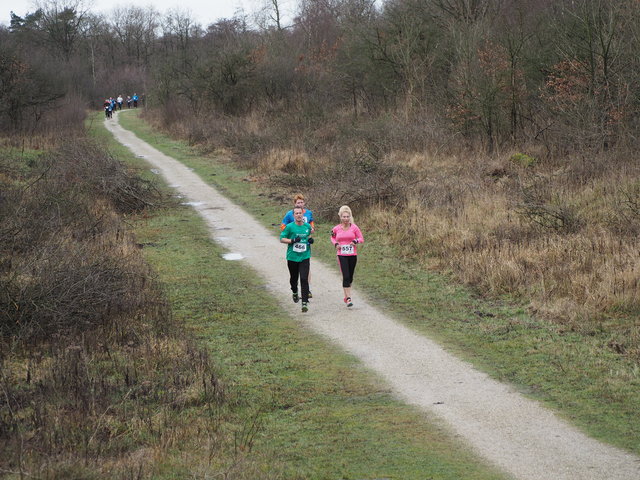 P1030270 5 en 10 km Westvoorne 3-1-2016