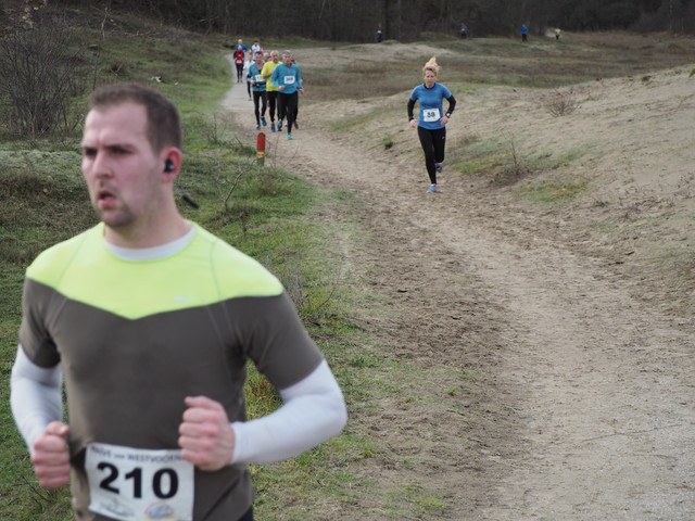 P1030587 Halve van Westvoorne 3-1-2016