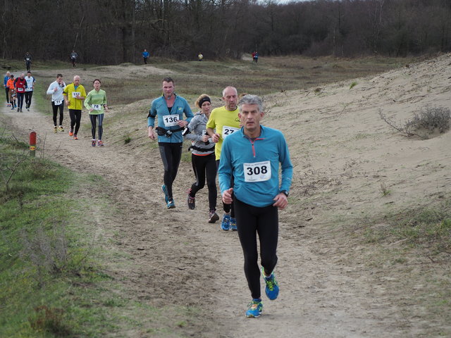 P1030589 Halve van Westvoorne 3-1-2016