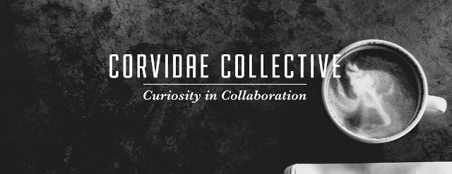 web design carbondale Picture Box