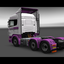 ets2 Scania R420 6x2 Kidds ... - prive skin ets2