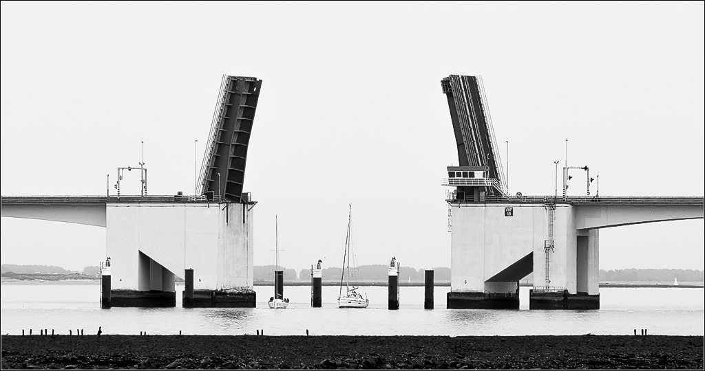  DSC1599 De brug van DE brug - 