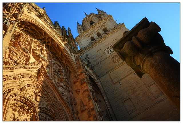 Catedral Nueva de Salamanca Spain