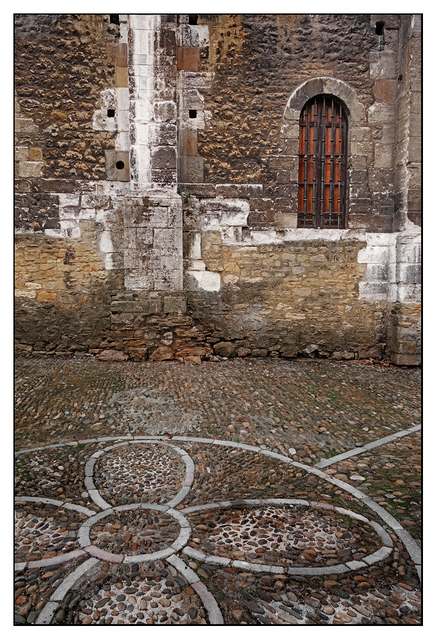 Oviedo flower Spain