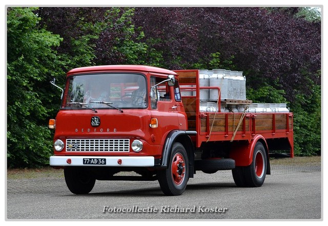 Bedford 77-AB-36 (0)-BorderMaker Richard