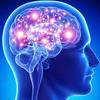 Brain Power To Be Boosted B... - Picture Box