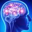 Brain Power To Be Boosted B... - Picture Box