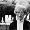 22 - Andy-Warhol (Gold Thinker) ...
