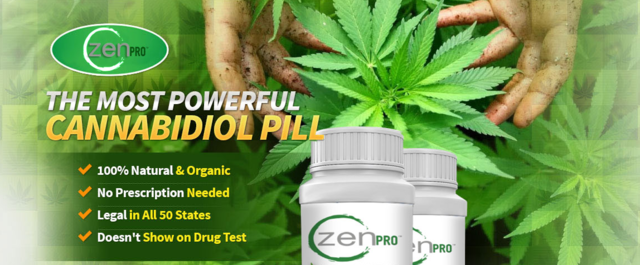 zenpro-cbd-header ZenPro CBD