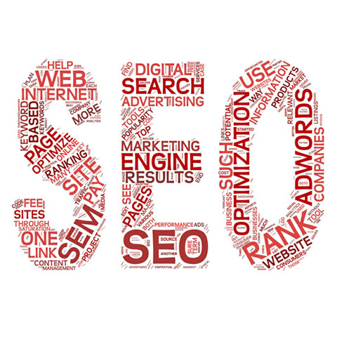 seo-specialist-adelaide SEO Specialist