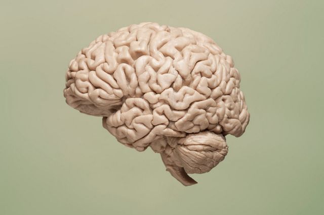Brain Picture Box