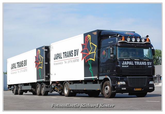 Japal trans BR-ST-30 (1)-BorderMaker Richard