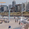 Scheveningen 2015, powered ... - Scheveningen, Den Haag, 2014