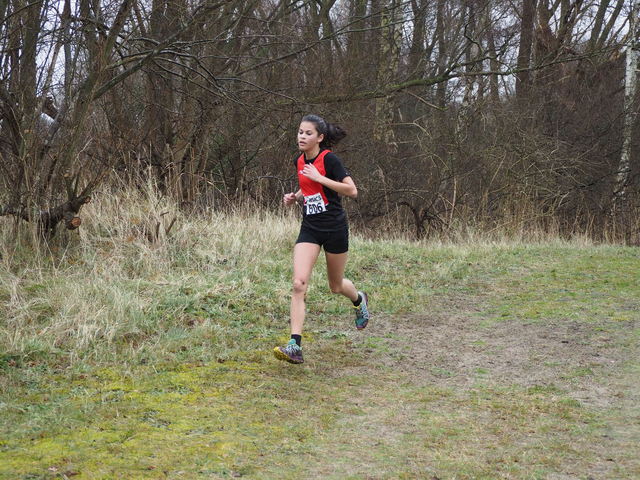 P1310961 Lengkeekcross 31-1-2016