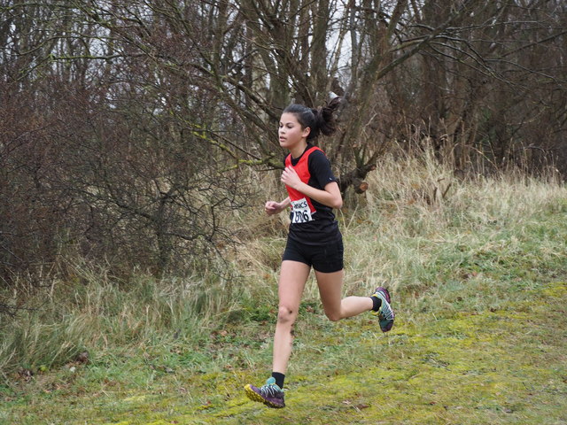 P1310964 Lengkeekcross 31-1-2016