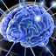 19069-desktop-wallpapers-brain - A Brief Description Of Your Brain