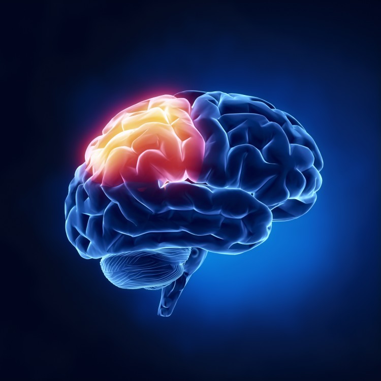 Boost Brain Power Picture Box