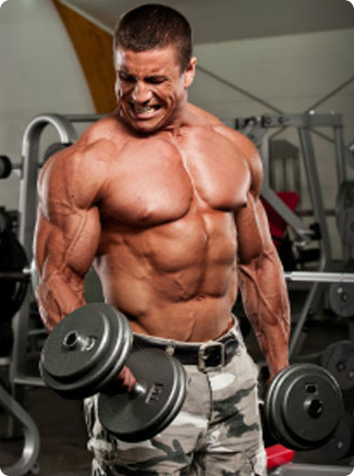 Approaches To Bulk Up Build Muscle Mass Quickly Picture Box