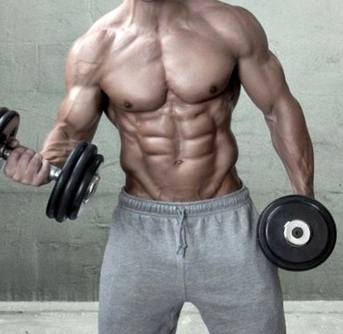 Approaches To Bulk Up Build Muscle Mass Quickly Picture Box