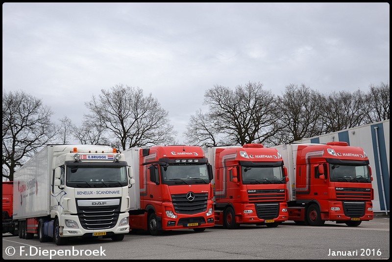 Hartman en Brugge-BorderMaker - 2016