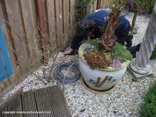 Tuin - Verlichting op de schutting 02-02-16 (10) In de tuin 2016