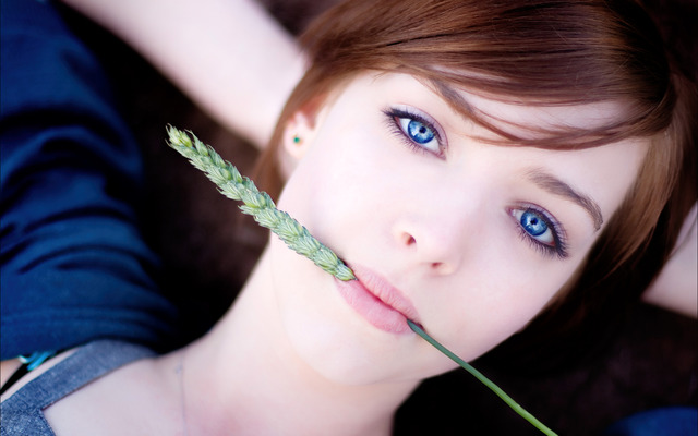 Deep Blue Eyes Girl Lying Wheat Stem Beauty-Wallpa HenryLewis