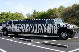 Wild Zebra Hummer Picture Box