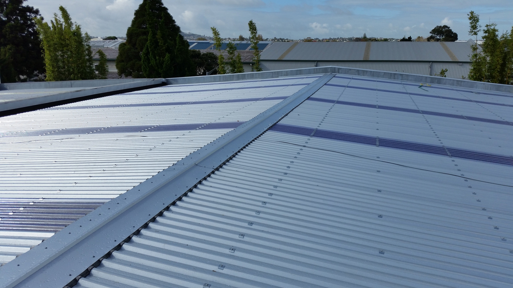 Re Roofing Auckland PLATINUM ROOFING LTD