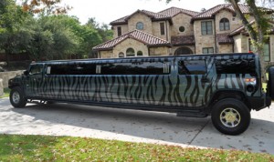 Zebra H2 Hummer Limo Picture Box