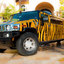 Tiger Stripe Hummer - Picture Box