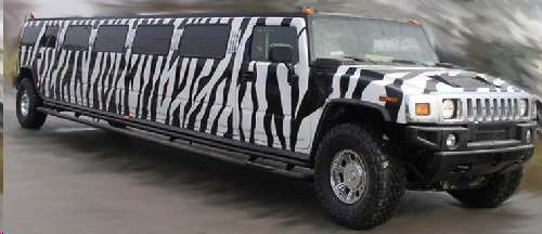 Zebra Print Hummer Limo Picture Box