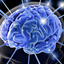 19069-desktop-wallpapers-brain - Pain Signals to the Brain from the Spine