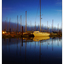 Comox Dock 2016 2 - Comox Valley