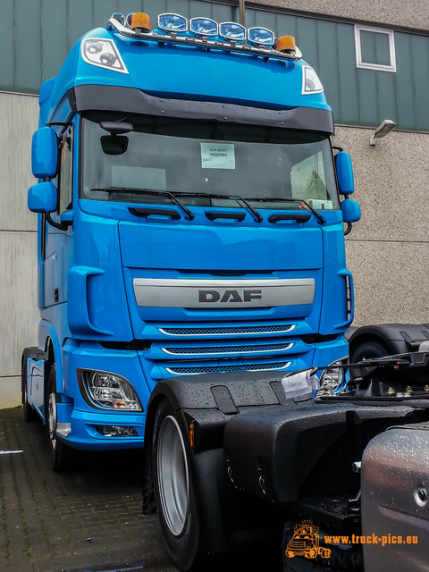 Dicke DAF, Trucks 2016, , powered by www TRUCKS 2016 powered by www.truck-pics.eu