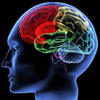 brain4 -  The Brain Enhancement That...