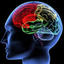 brain4 -  The Brain Enhancement That Is Pure