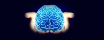 Nuts And Brain Functions Picture Box