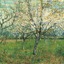 (Apricot) ditto dotting can... - Van Gogh