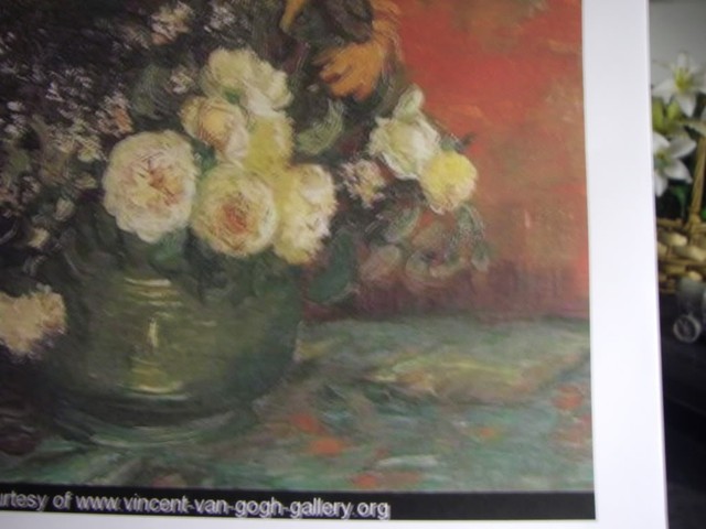 VG Orange Sploches Comparison Van Gogh