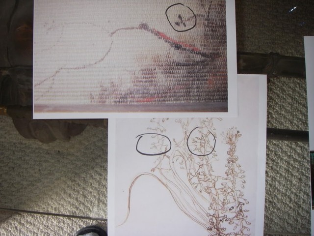 3 leaf & curve branch comparison with VG drawing Van Gogh